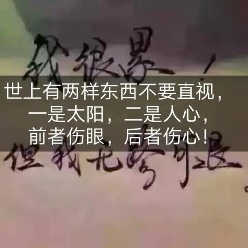 我只了解价值和价值
