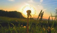 潇潇洒洒的开心句子