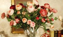 女人要开心的句子