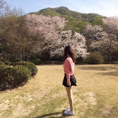 如何形容上学的开始