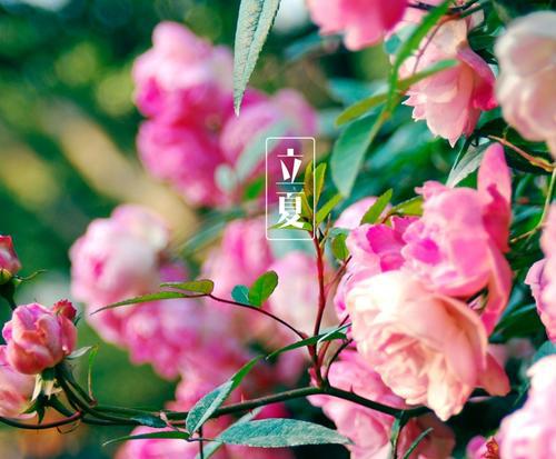 保持快乐的心情