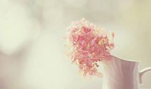 对一些事失望的句子