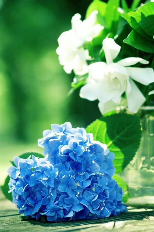 并挑选一位幸福的朋友