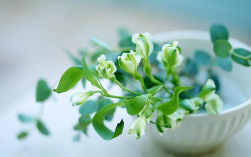 让我们来看看编辑所编辑的有关世界家庭情感的句子