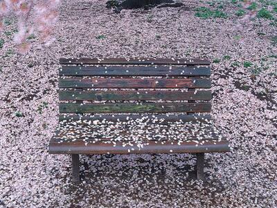 一对夫妇因为破产而搬出了大房子