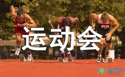 关于运动游戏的审美句子 句子是语言使用的基本单位