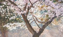 形容去海边玩得很开心的句子