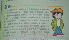 描写荷花的好词好句