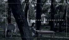 关于母亲感恩的句子