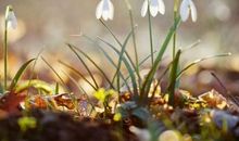 中老年人生感悟的句子