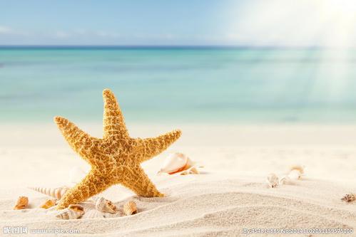 然后看看编辑编辑了一些关于想要快乐的句子