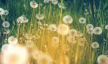 女人四十人生感悟句子