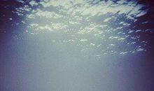 对婚姻的失望的句子