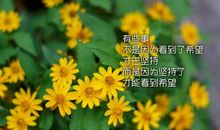 容易让人点赞的朋友圈说说