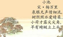 小学古诗词大全