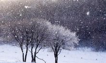 描写大雪纷飞的诗句