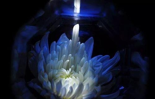 有时候生活会无所思念地消失