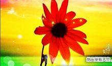 早上发朋友圈阳光向上的句子 早上励志语录发朋友圈