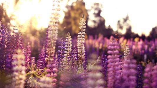 编辑编辑了一些关于醉酒和滑稽的快乐句子