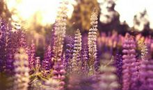 关于醉酒搞怪的开心句子