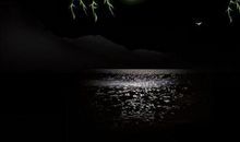 对自己的父母好失望的句子说说