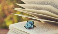 亲情很薄弱的句子