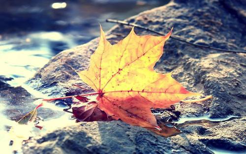 希望大家喜欢呀1、The family is shaping excellent personality life textbook