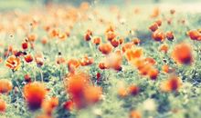 因一些不开心的句子