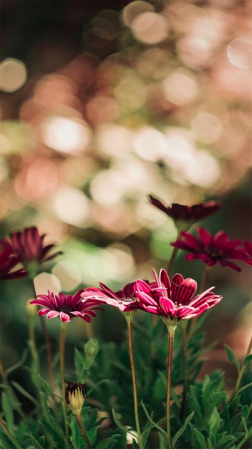 请看一看幸福的句子