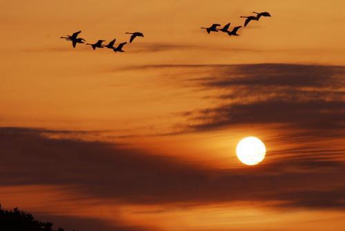 您是否曾在有雾的镜子或玻璃上写下一个人的名字