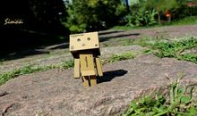 对妻子的爱感到失望的句子