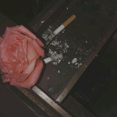 以下是一个简洁的句子