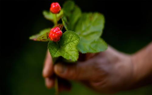 每个人的内心都有片刻的痛心
