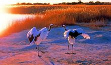 结束一天的开心的句子