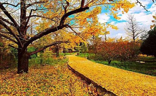 以表达同学们的幸福