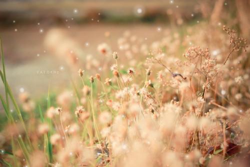 并谈论了情绪短语