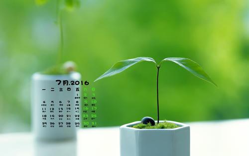 编辑编辑了一些有关家庭之爱的句子