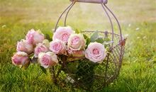 身体出了问题的伤感说说