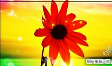 疫情结束后你的新目标说说