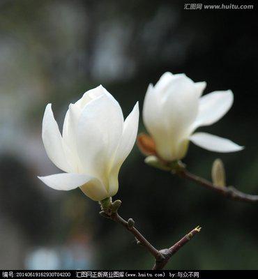 早上给你一个早安吻