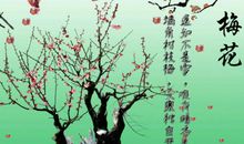 描写梅花外貌的句子