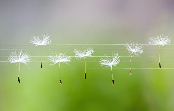 幸福应该是美德的伙伴