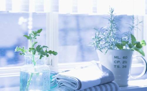 编辑器汇编了一些有关寻找情感的句子