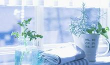 找一些亲情的句子