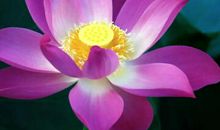 经典文字短句：理智永远也跟不上犯贱的脚步