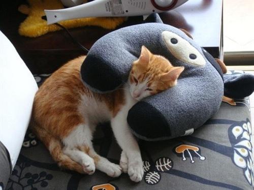 女孩的人际关系可以分为三种类型：有些人看不到头