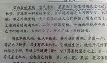 描写梅花开放的句子