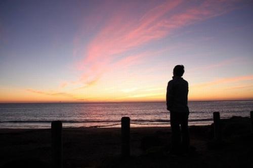 他不是爱与爱的粉丝