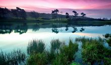 关于月亮的经典诗句