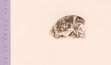 拜伦诗选经典语句